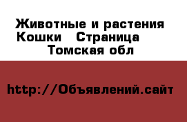 Животные и растения Кошки - Страница 10 . Томская обл.